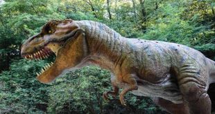 معلومات عن الديناصورات وأنواعها